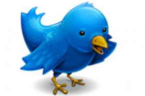 twitter-bird