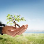 tree_in_palm_of_hand