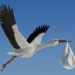Stork delivers baby