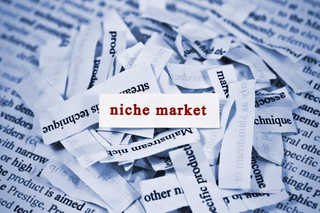 concept of finding niche market